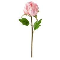 SMYCKA Sztuczny kwiat, Piwonia/różowy, 30 cm