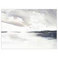 PJÄTTERYD Obraz, odlecieć, 70x50 cm