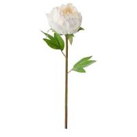 SMYCKA Sztuczny kwiat, Piwonia/biały, 30 cm