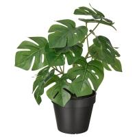 FEJKA Искусственное растение в горшке д/дома/улицы монстера 12 см IKEA 304.933.50