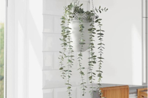 FEJKA IKEA 704.668.11 Искусственное растение в горшке 9 см. д/дома/улицы подвесное/эвкалипт