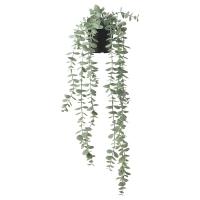 FEJKA Искусственное растение в горшке, д/дома/улицы подвесной/эвкалипт 9 см IKEA 704.668.11