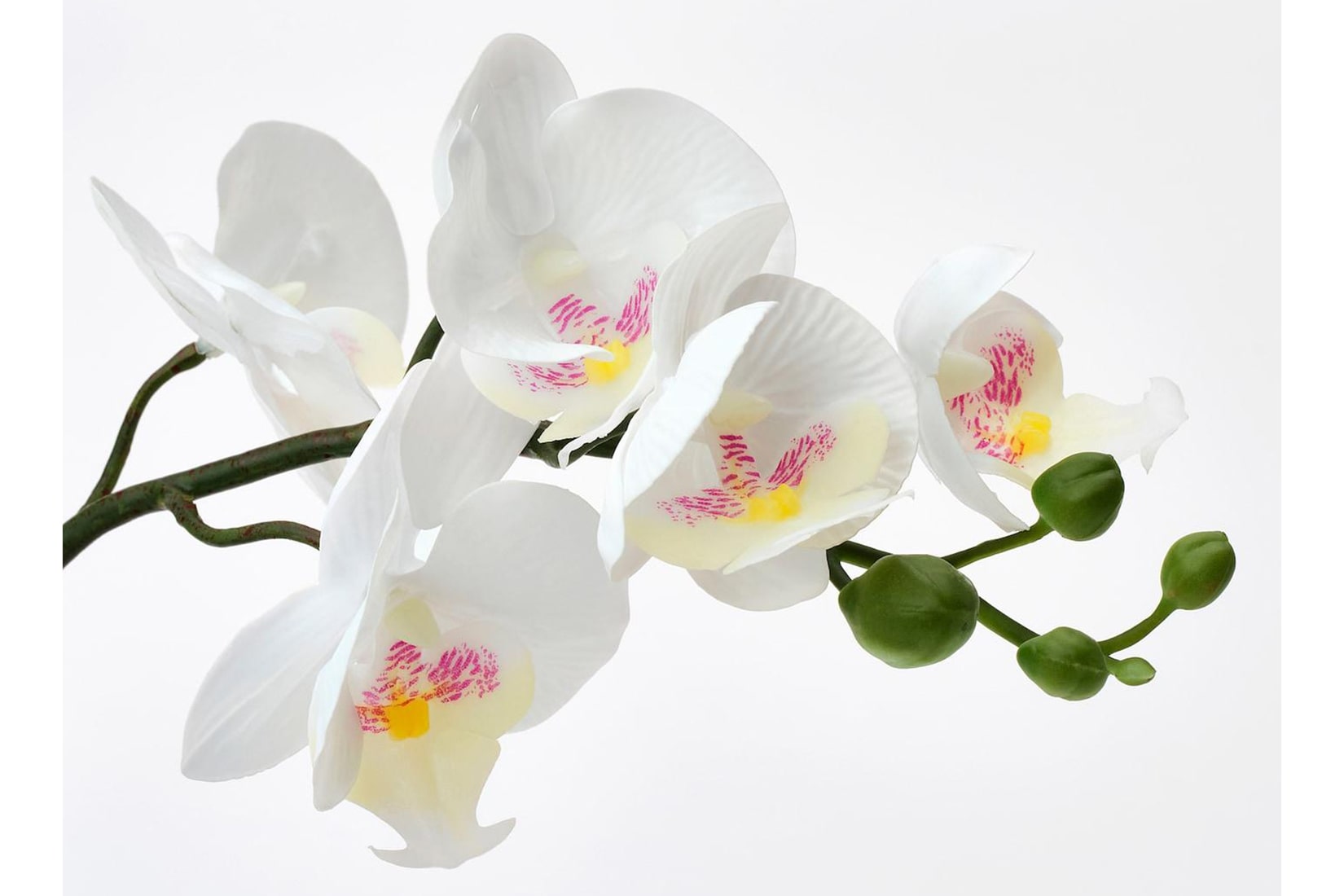 FEJKA IKEA 002.859.08 Искусственное растение Орхидея