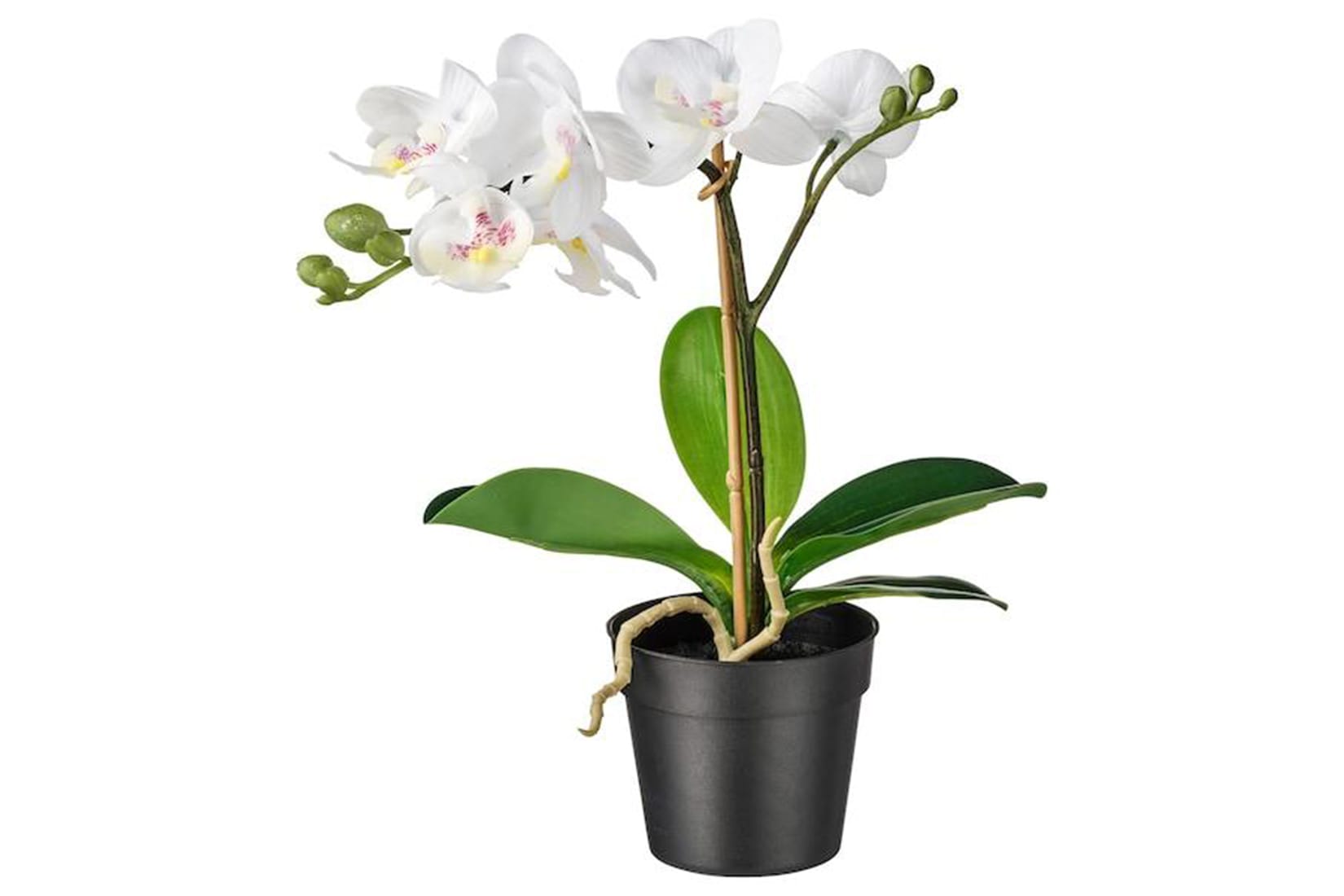 FEJKA IKEA 002.859.08 Искусственное растение Орхидея