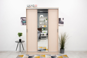 Альянс 1.5 м Шкаф-купе белфорт/белфорт