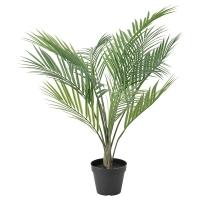 FEJKA Искусственное растение в горшке крытая/открытая пальма Арека IKEA