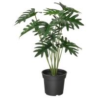 FEJKA Искусственное растение в горшке, комнатный / открытый филодендрон IKEA 805.229.96